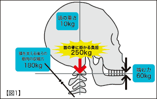 図1