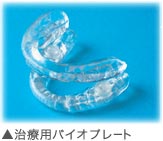 ���×p�o�C�I�v���[�g